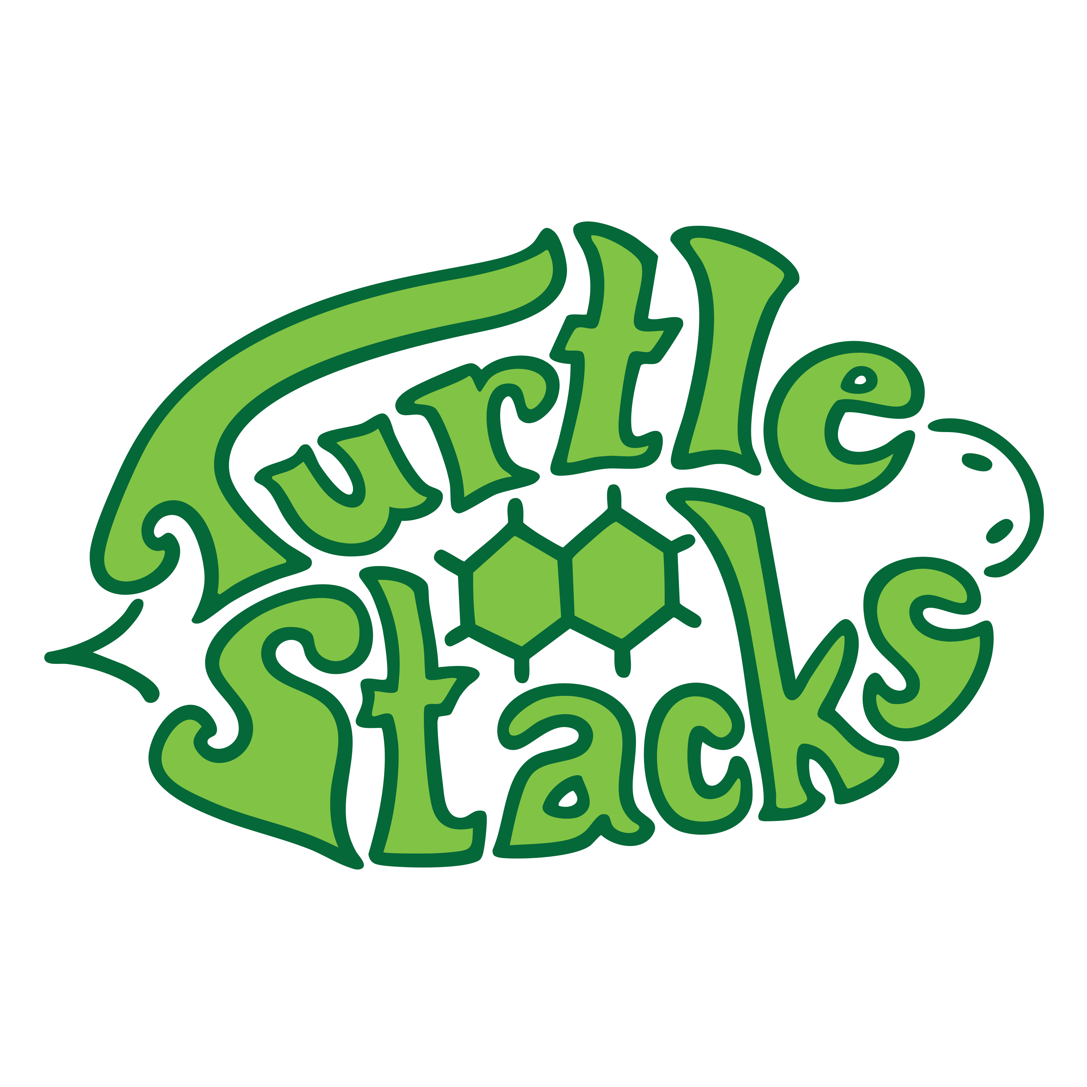 Turtle Stacks Music